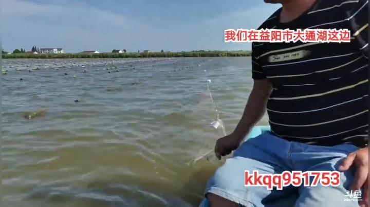 新的地方新的收货。 2020-08-13 08点场