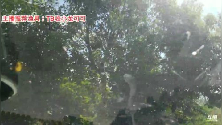 十一郎君01发布了一个斗鱼视频2020-08-13