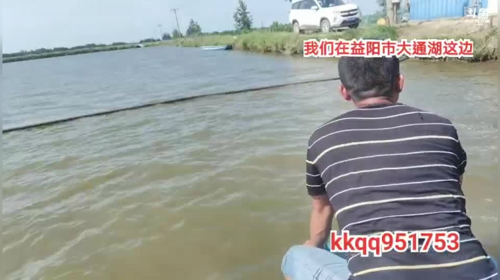 新的地方新的收货？ 2020-08-13 14点场