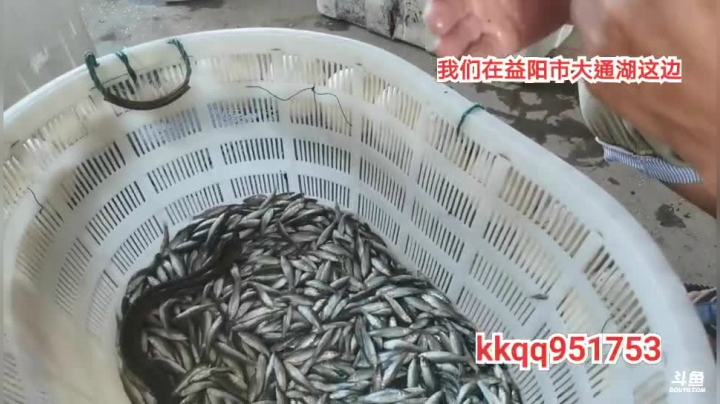 新的地方新的收货？ 2020-08-13 16点场