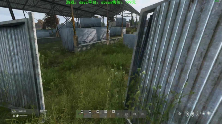 dayz (末日到底什么最可怕） 2020-08-13 19点场