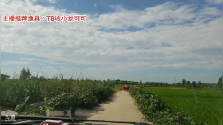 十一郎君01发布了一个斗鱼视频2020-08-13