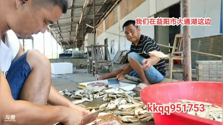 新的地方新的收货？ 2020-08-13 12点场