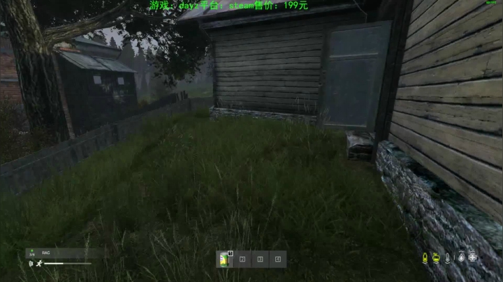 dayz (末日到底什么最可怕） 2020-08-13 15点场