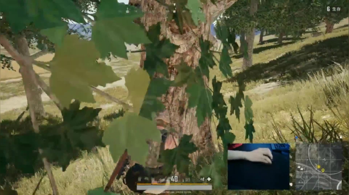 宇宙第一，单人四排 2020-08-14 10点场