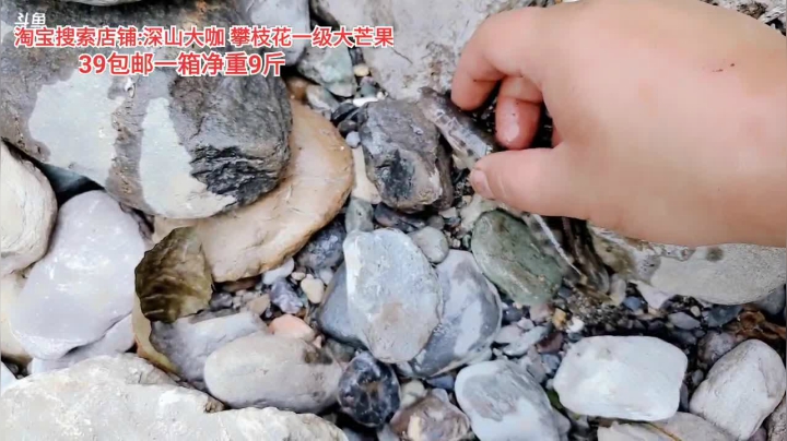 钓鱼(≧ω≦)/ 2020-08-14 15点场