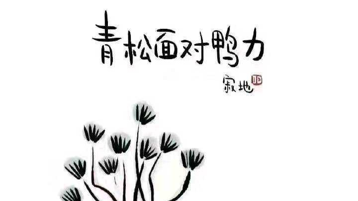 2020.8.14日精华版！