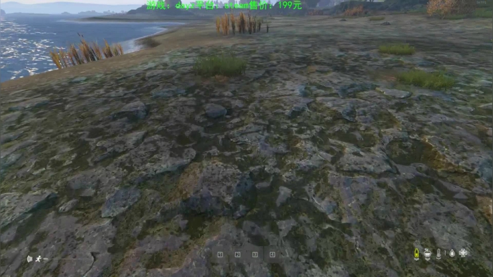 dayz (hardcore极限生存） 2020-08-14 12点场