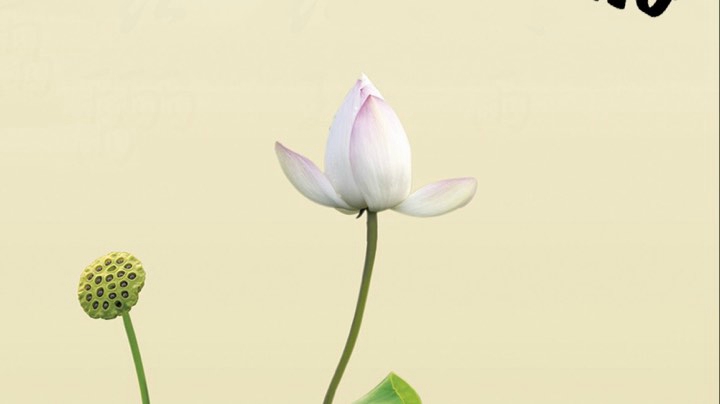 荒野大飚客2