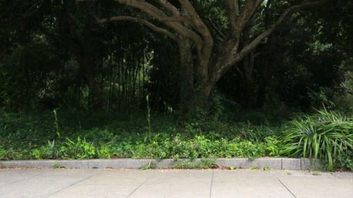 哆啦爱梦梦发布了一个斗鱼视频2020-08-14