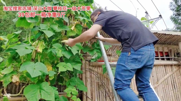 钓鱼(≧ω≦)/ 2020-08-14 16点场