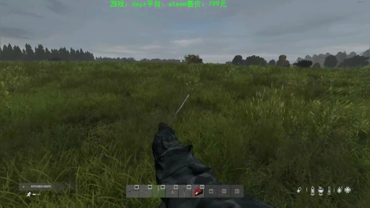 dayz (hardcore极限生存） 2020-08-14 20点场