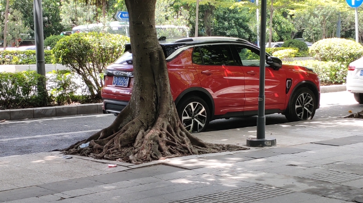 深圳