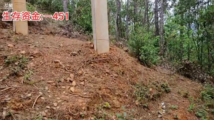 《带着小胖看世界》泸沽湖-丽江 Day2 2020-08-16 11点场