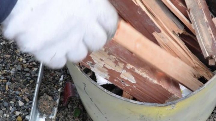 哆啦爱梦梦发布了一个斗鱼视频2020-08-16