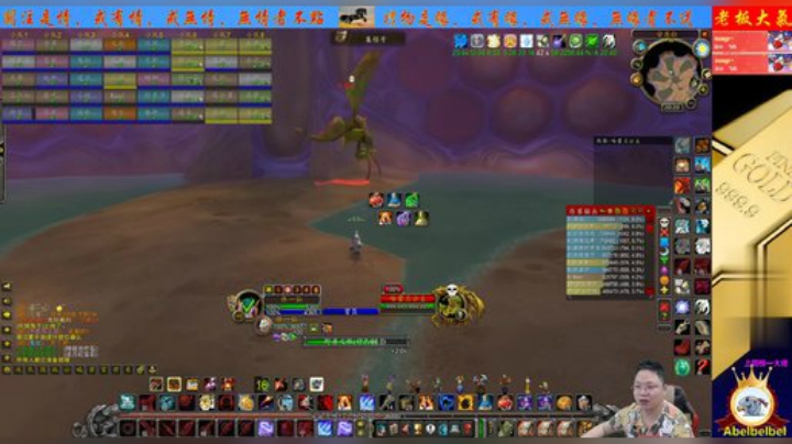 魔兽世界怀旧服：我们不是竞速团，但我们很快乐！请尊重每个BOSS