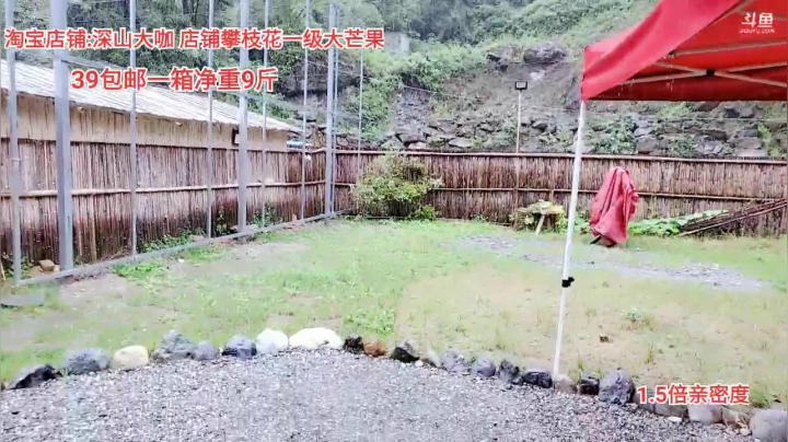 雨雨雨不能在下了(≧ω≦)/ 2020-08-17 14点场