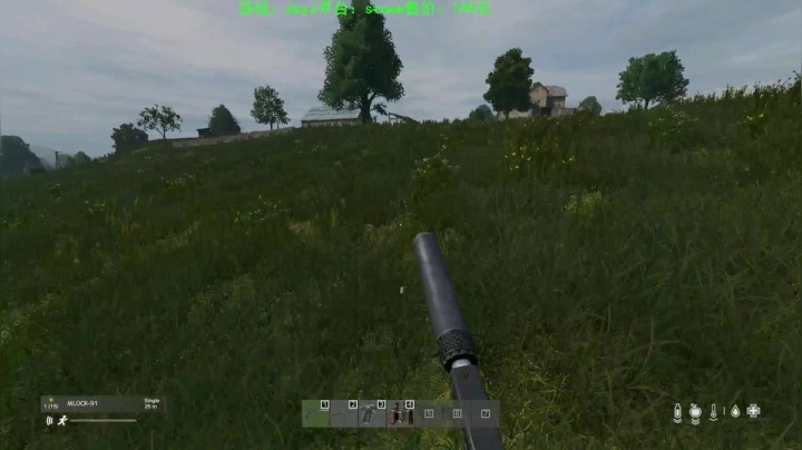 dayz (hardcore极限生存） 2020-08-17 16点场