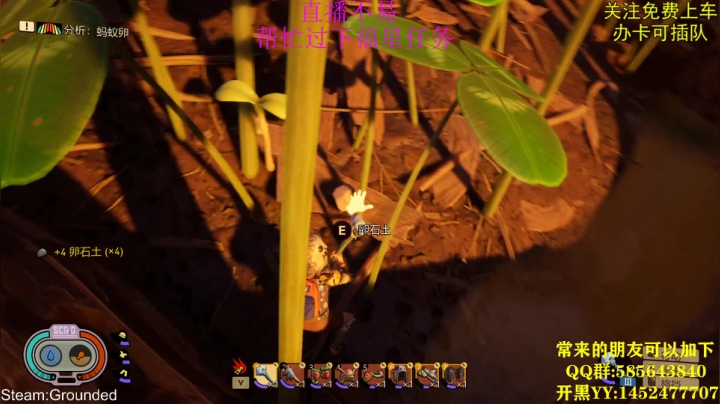 Grounded:来伙伴一起创造 2020-08-16 20点场