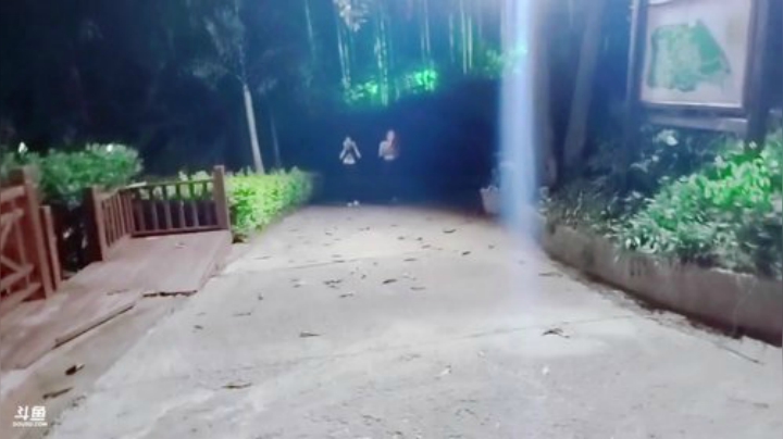 心心恋凡发布了一个斗鱼视频2020-08-17