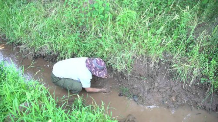 哆啦爱梦梦发布了一个斗鱼视频2020-08-18