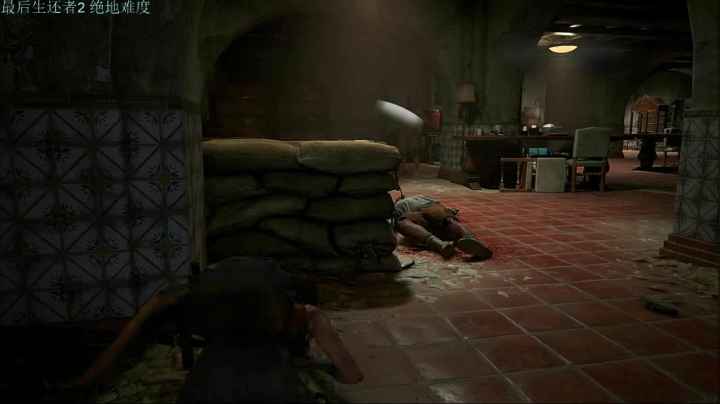［小V游戏厅］TLOU2绝地难度 2020-08-18 21点场