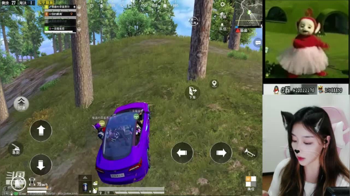 logo号在线带粉 2020-08-13 23点场