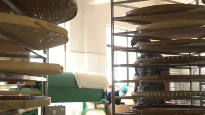 哆啦爱梦梦发布了一个斗鱼视频2020-08-19