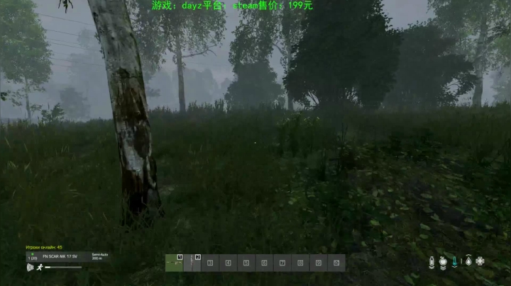 dayz (hardcore极限生存） 2020-08-19 18点场