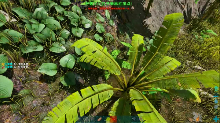 快上车,来不及白给了.. 2020-08-19 13点场