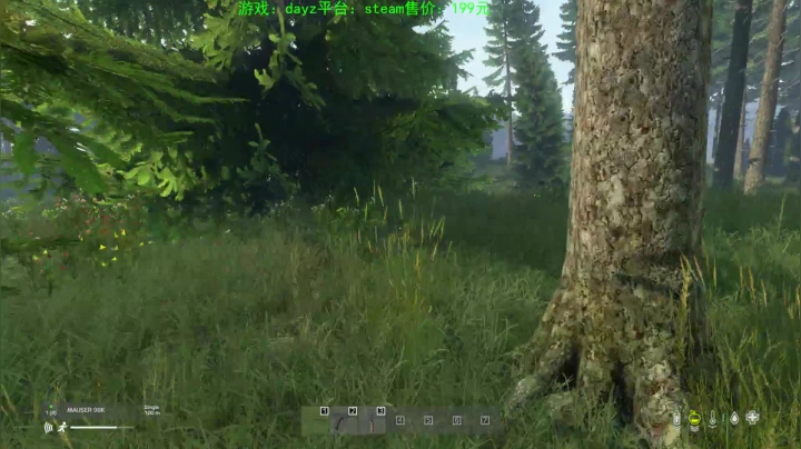 dayz (hardcore极限生存） 2020-08-18 17点场