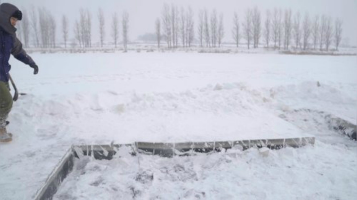 我在斗鱼看野食小哥直播美食