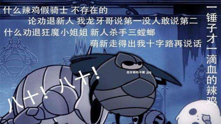 手残党空洞骑士找虐，第十二天（2）