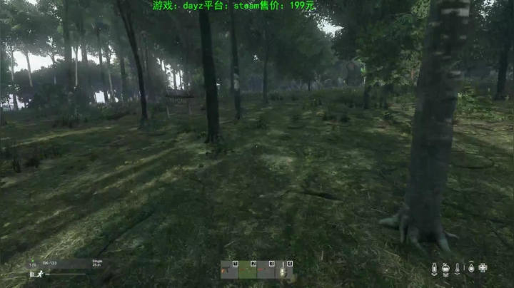 dayz (hardcore极限生存） 2020-08-18 19点场