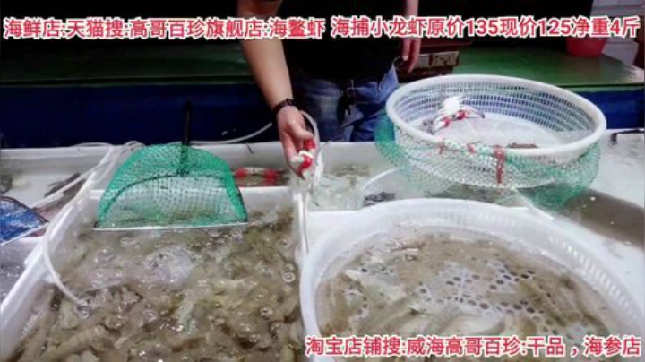 西北老狼哥哥发布了一个斗鱼视频2020-08-19