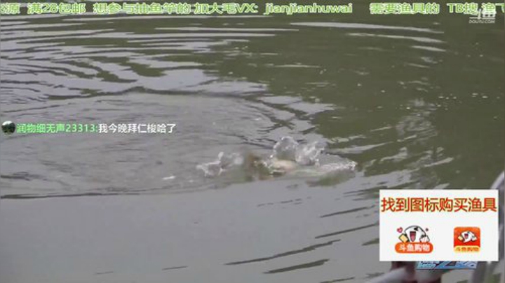 wlbig发布了一个斗鱼视频2020-08-20