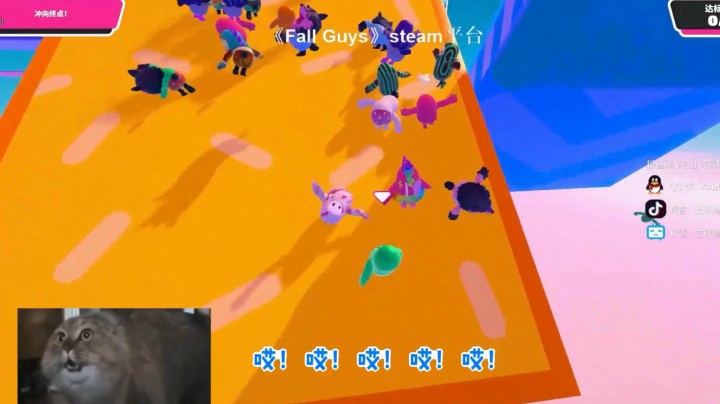 【糖豆人】跷跷板是你最强的关卡？关闸。