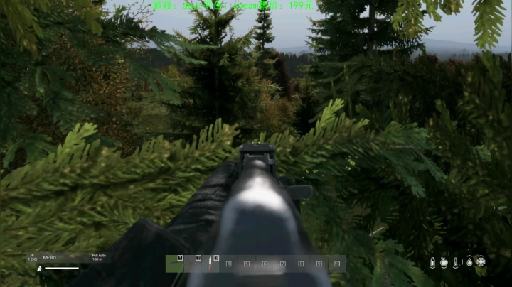 dayz (hardcore极限生存） 2020-08-20 19点场