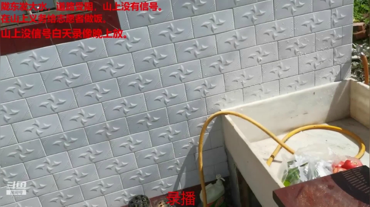 志愿者炊事班 2020-08-20 14点场