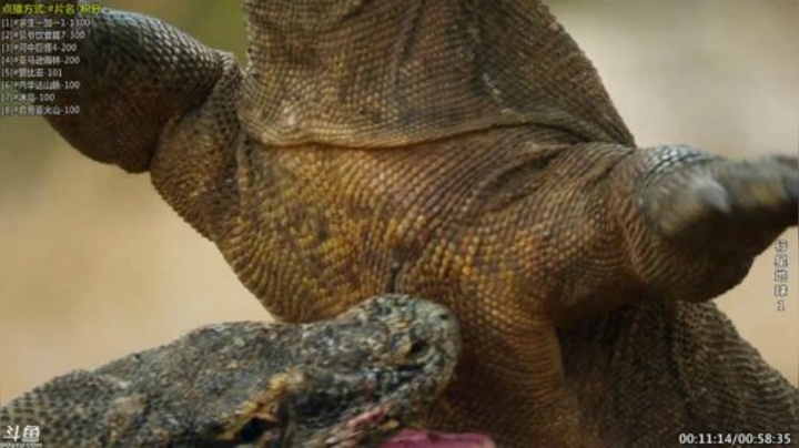 静思世语发布了一个斗鱼视频2020-08-21