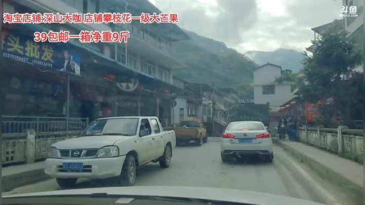 早上8点半直播 2020-08-21 08点场