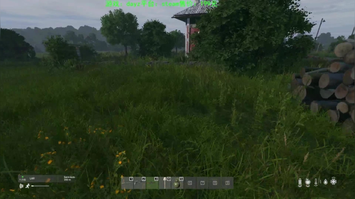dayz (hardcore极限生存） 2020-08-22 16点场