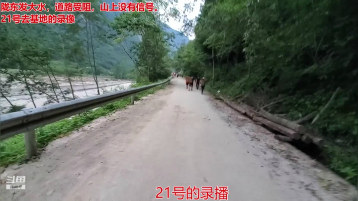 没有信号，在录像 2020-08-22 02点场