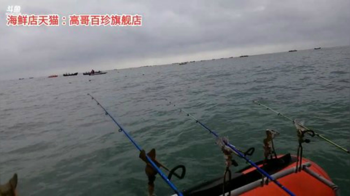 龙马精神丶老狼哥发布了一个斗鱼视频2020-08-22