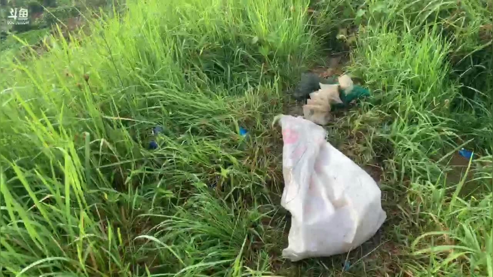 黄膳爆笼了我丢 2020-08-22 07点场