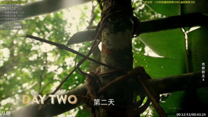 护法惊丶发布了一个斗鱼视频2020-08-23