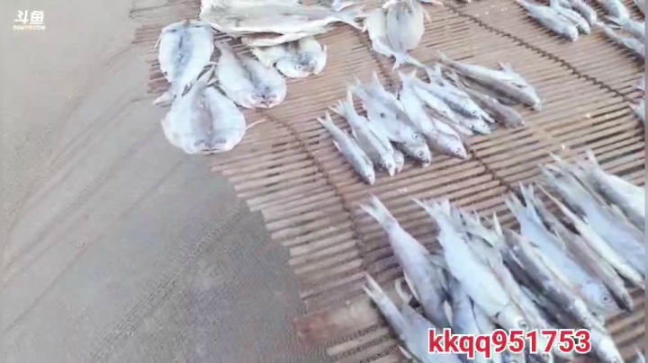 放白条网去咯 2020-08-23 16点场