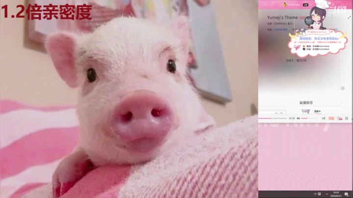 叶知秋：水友唱歌比赛 2020-08-23 19点场