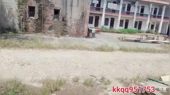 放白条网去咯 2020-08-23 12点场