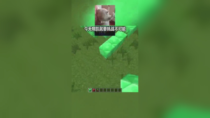 挑战用绿宝石铺满我的世界